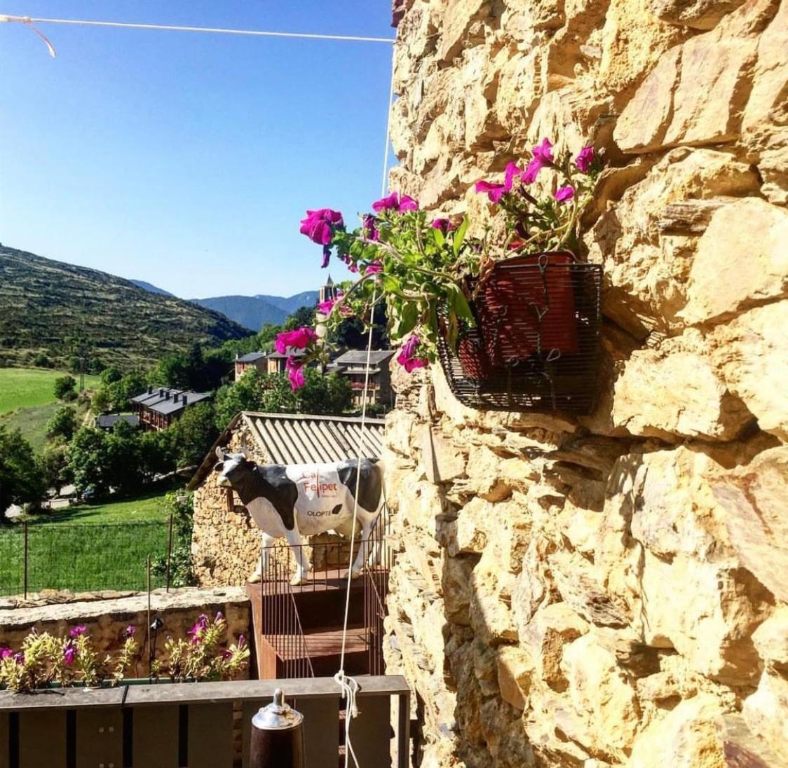 Preciosa Casa Rural Cal Felipet En Olopte-Cerdanya 외부 사진